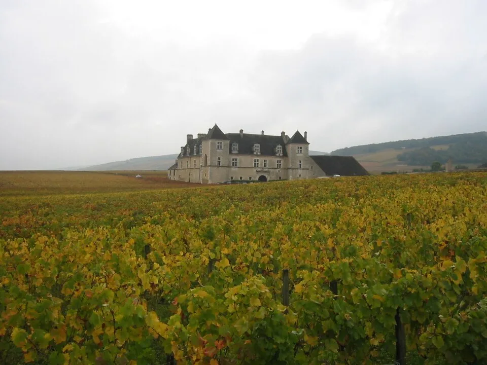 Clos de Vougeot
