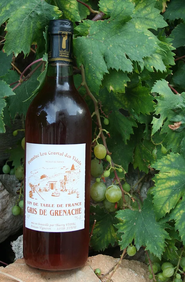 Vino da tavola
