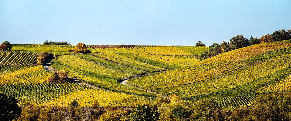 Franconia