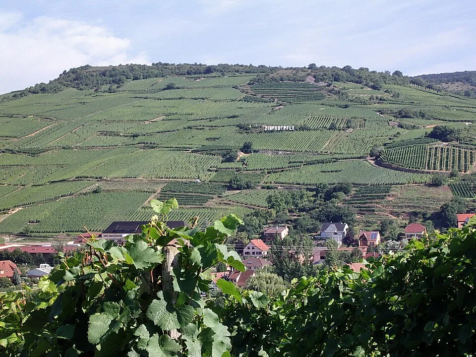Elsass Grand Cru