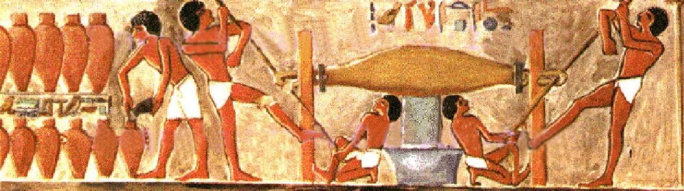 History of wine