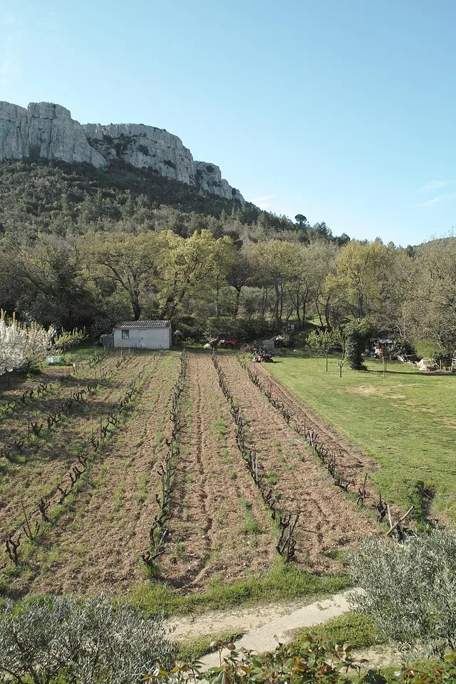 Mont Caume