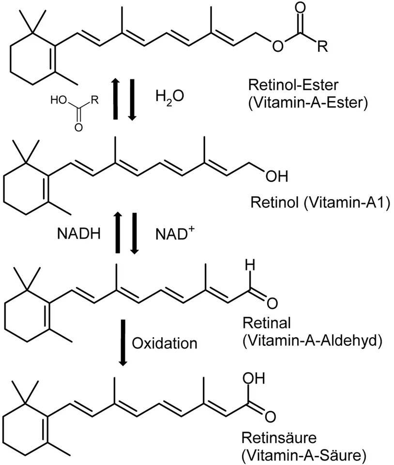 Witamina A