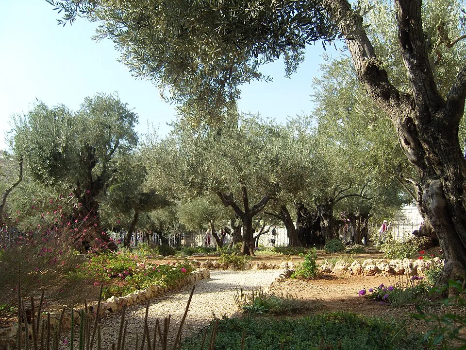 Orto del Getsemani