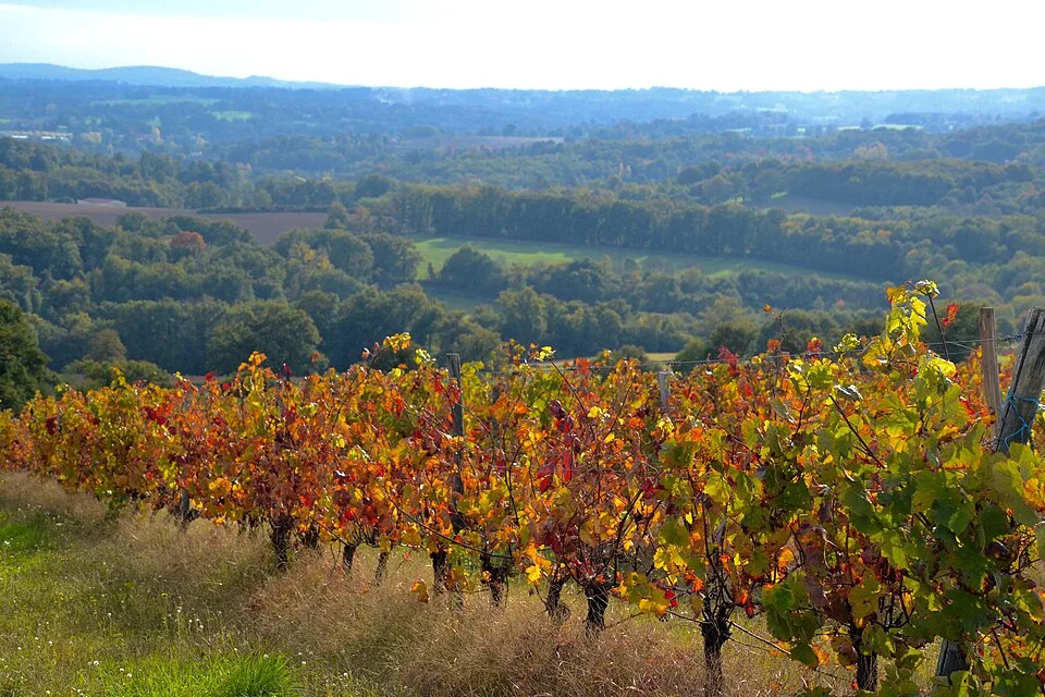 Haute-Vienne