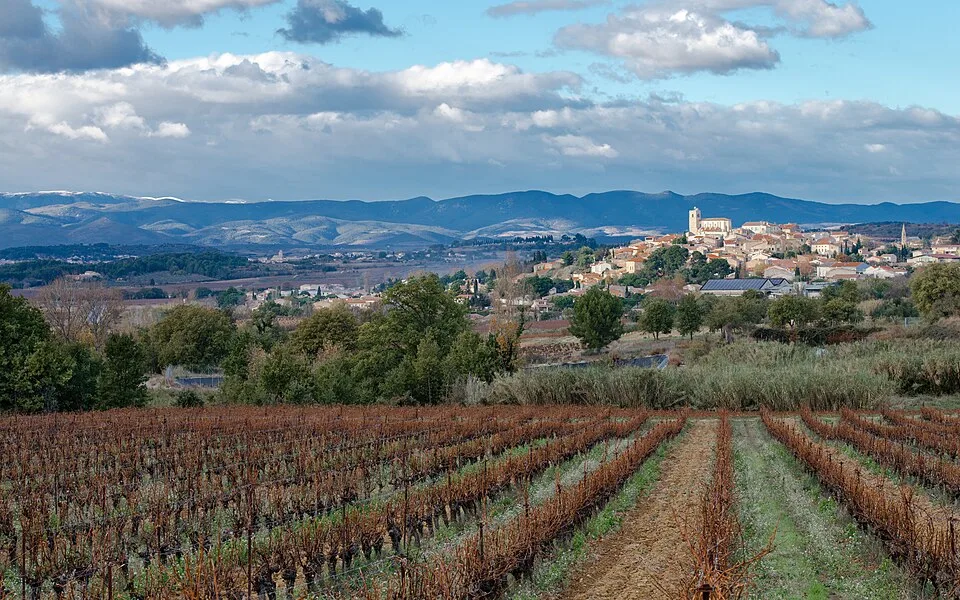 Coteaux de Béziers