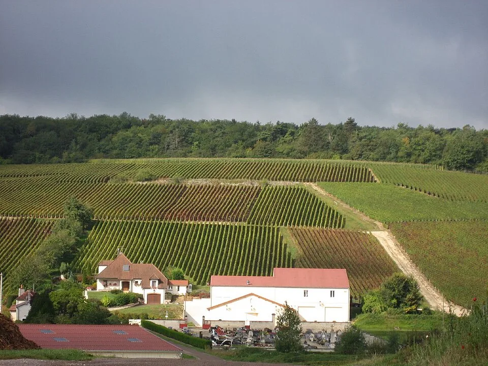 Haute-Marne