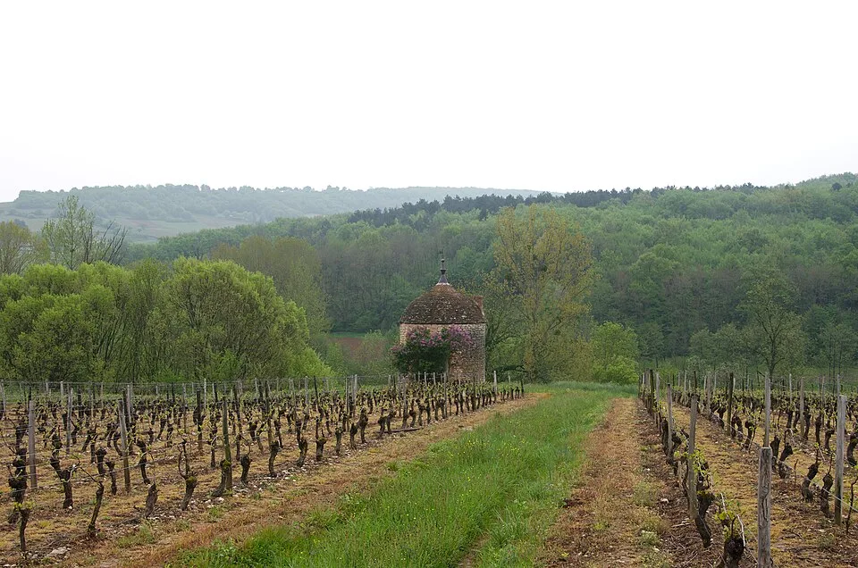 Saône-et-Loire