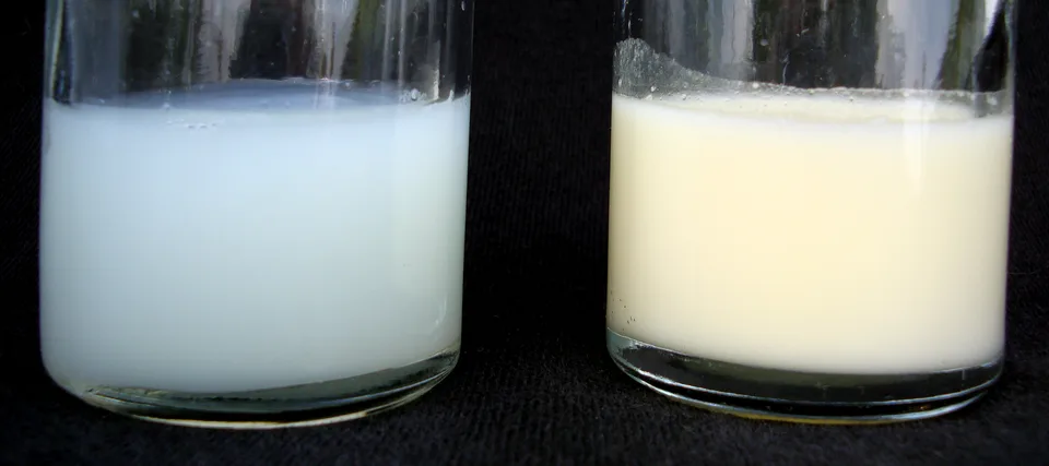 Leche materna