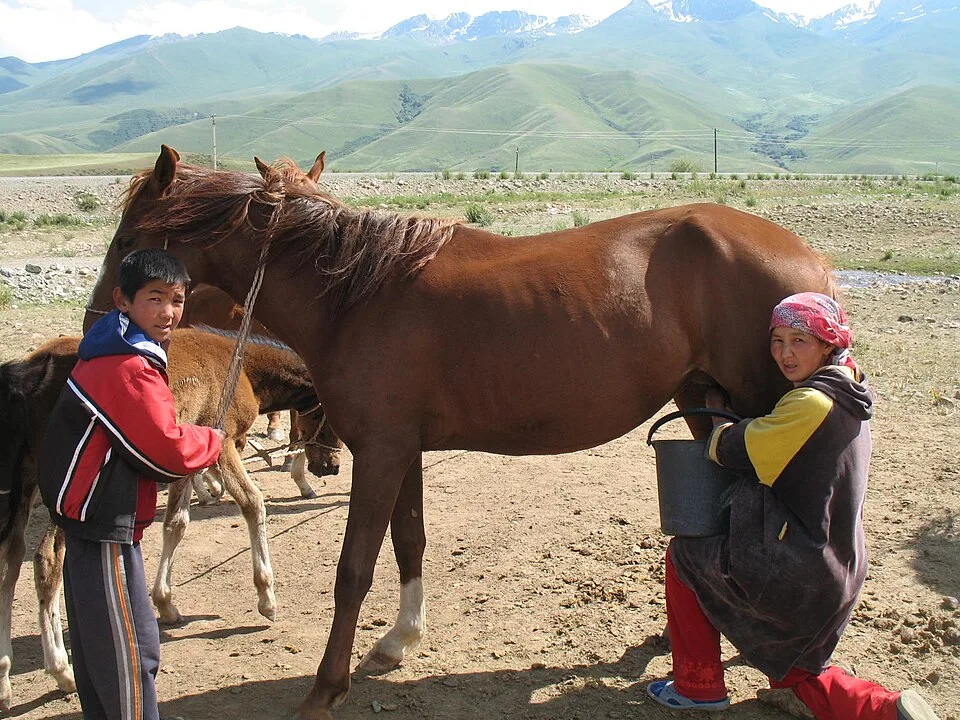 Центральная Азия