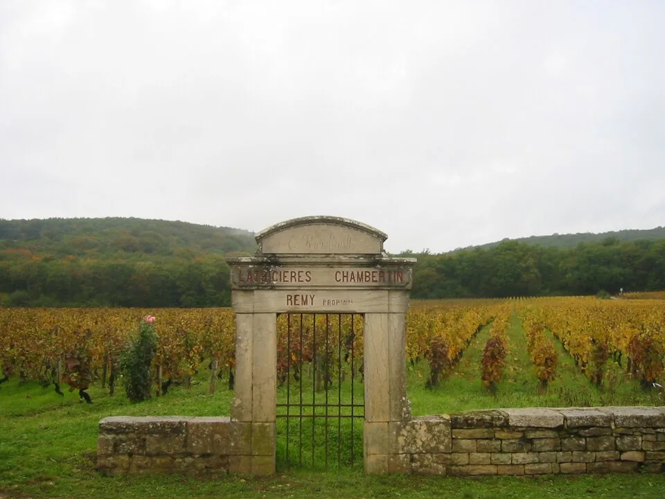 Latricières-Chambertin