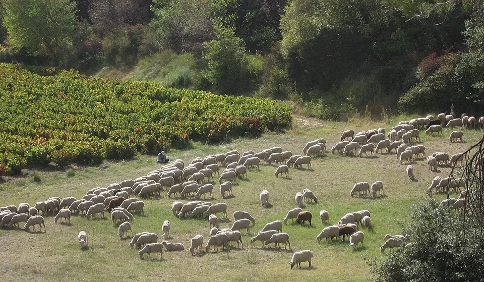Alpes-de-Haute-Provence