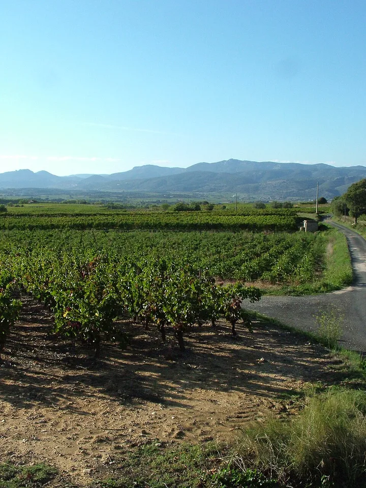 Pays d'Hérault