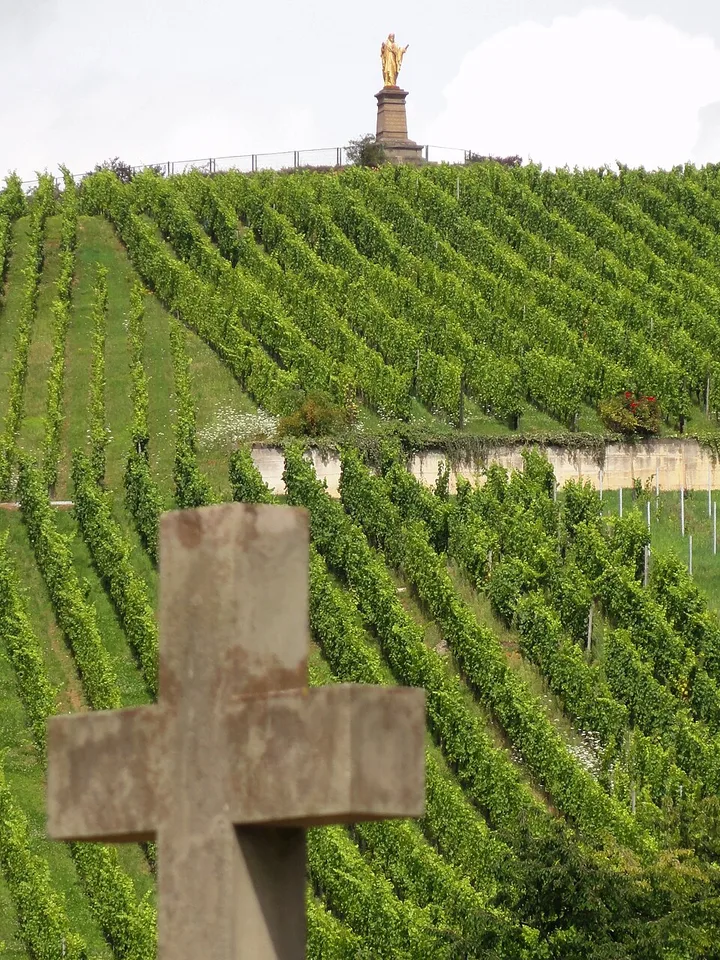 Alsace Grand Cru Altenberg de Wolxheim