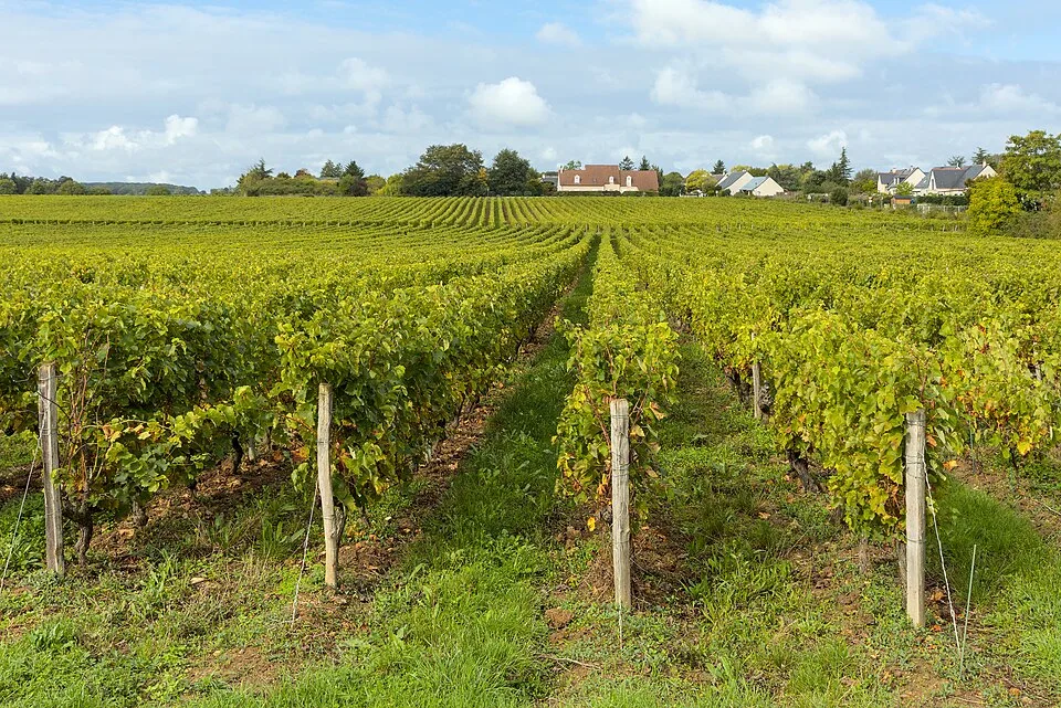 Touraine