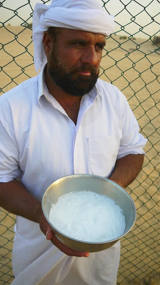 Leite de camela