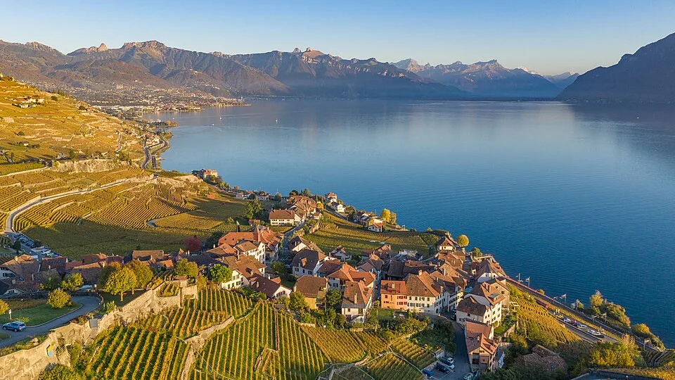 Lavaux, Vineyard Terraces