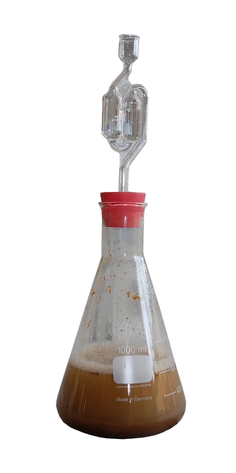Fermentation alcoolique