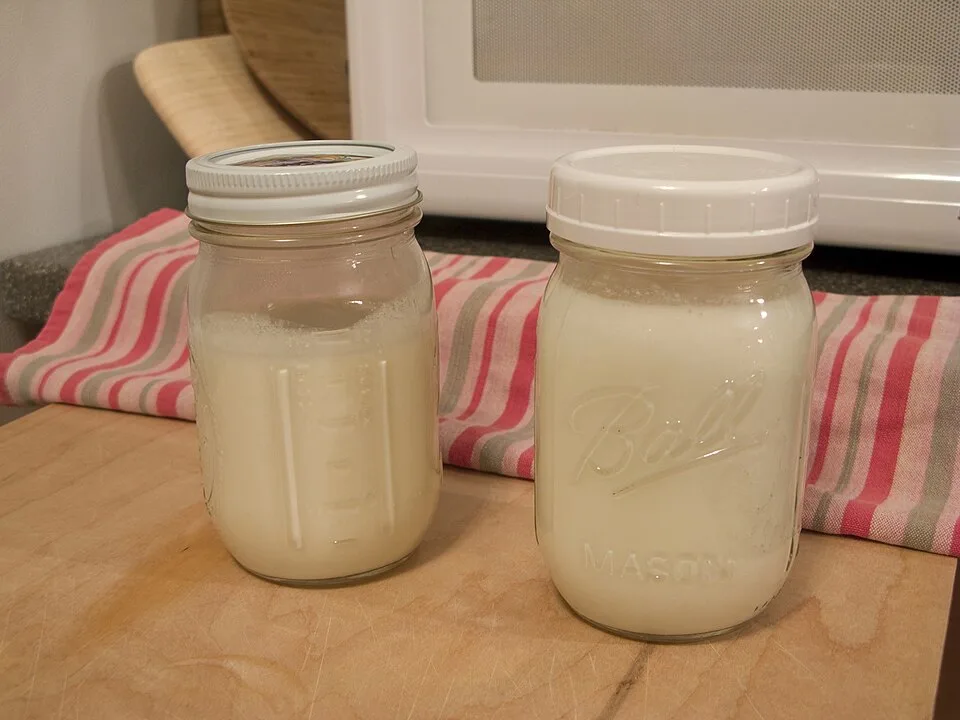 Fermentación láctica