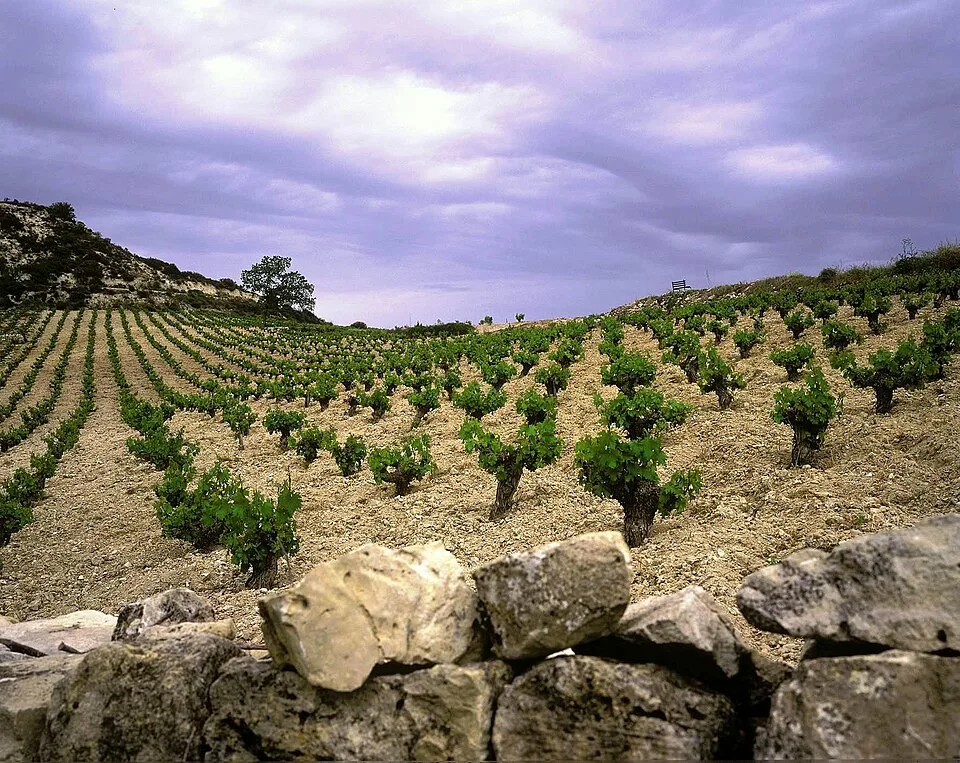 Vino cipriota