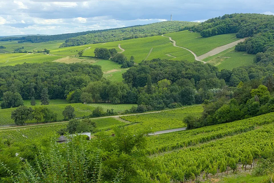 Mittleres Loiretal