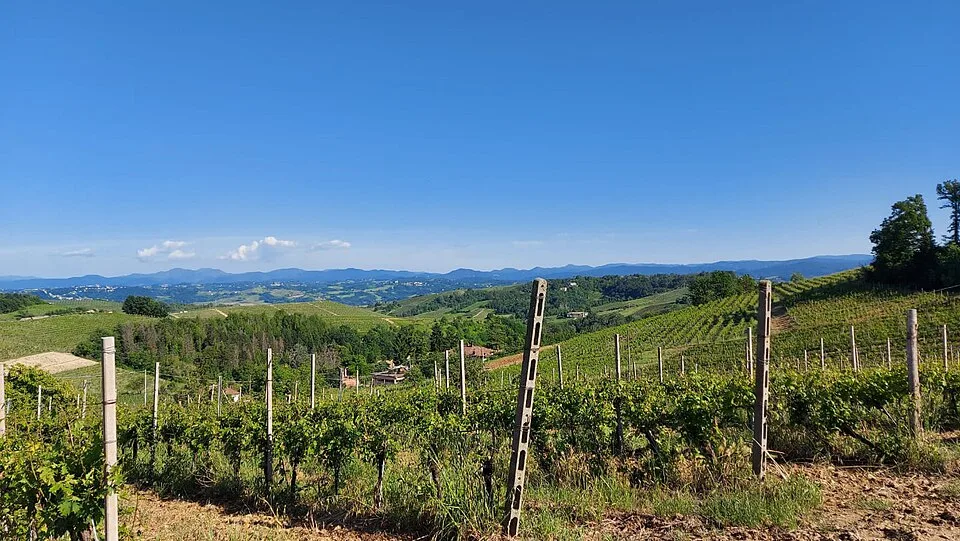 Monferrato