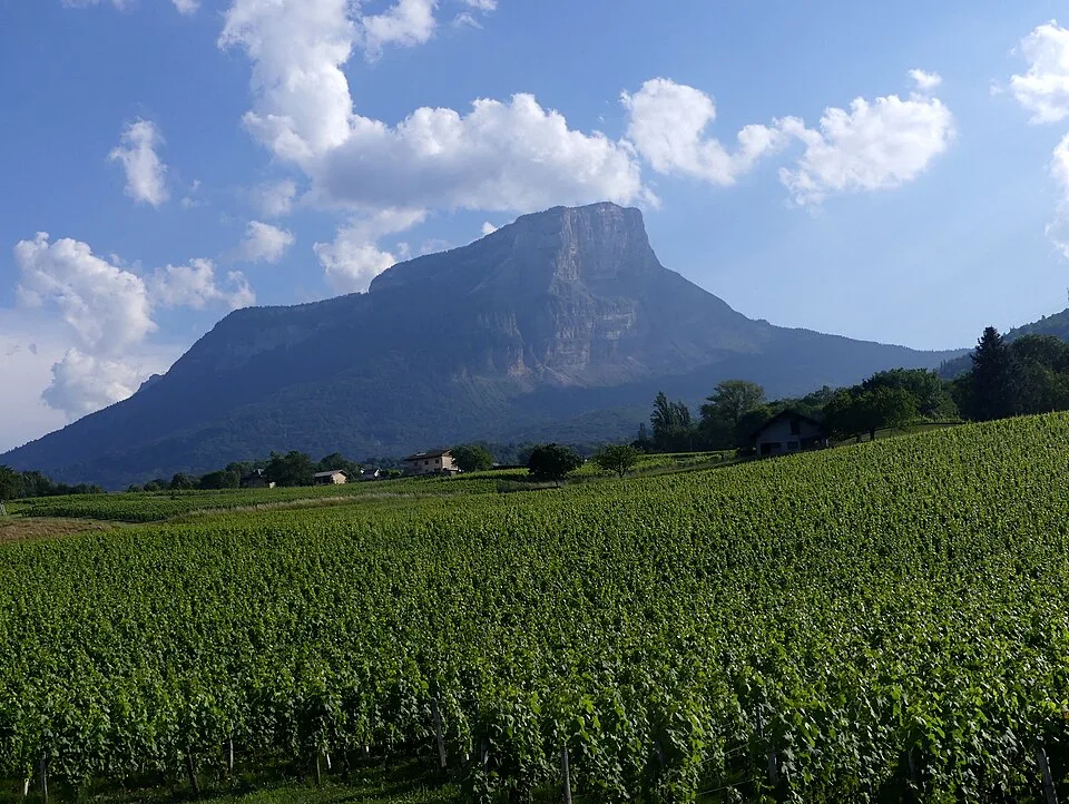 Vin de Savoie
