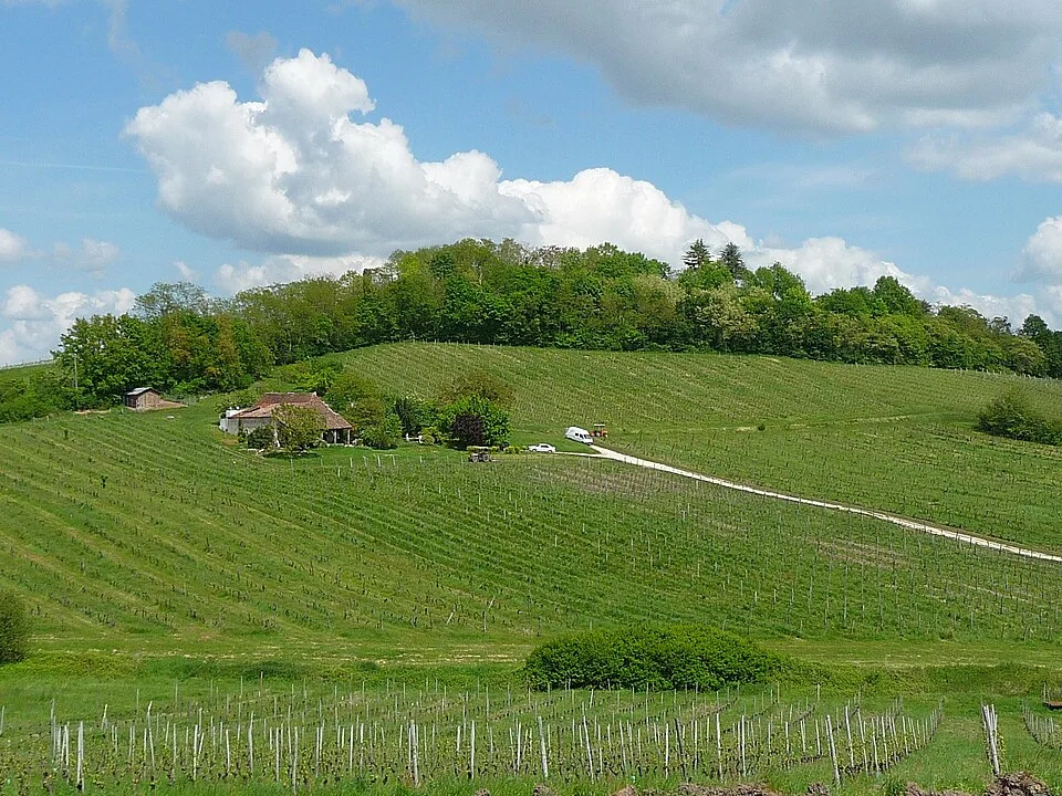 Bergerac
