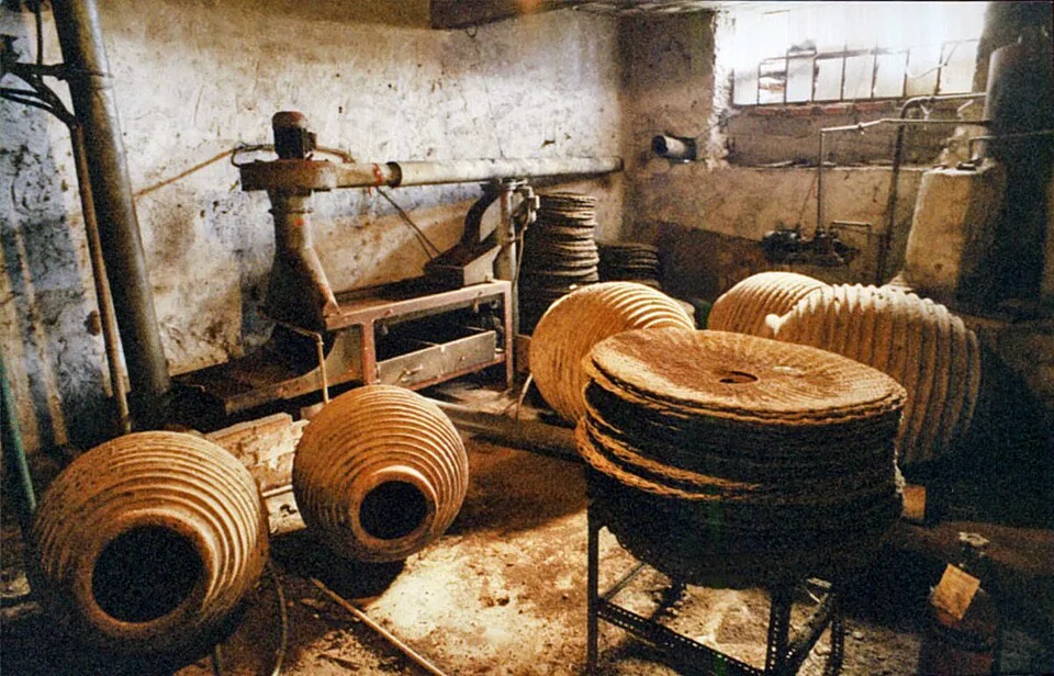 Каламата (масло)