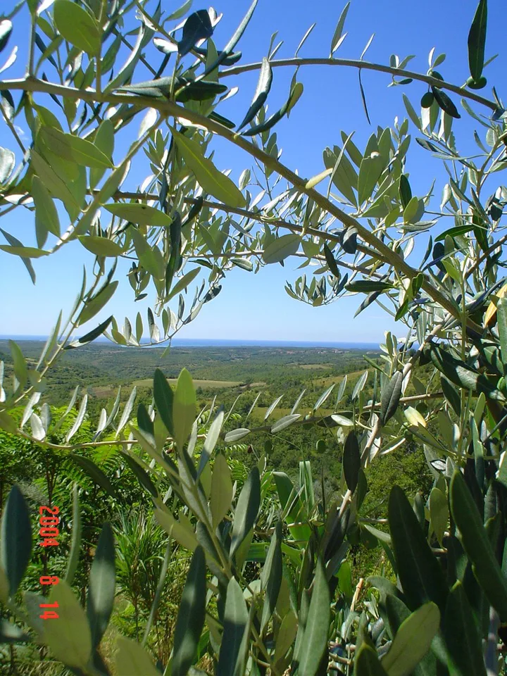 Istra
