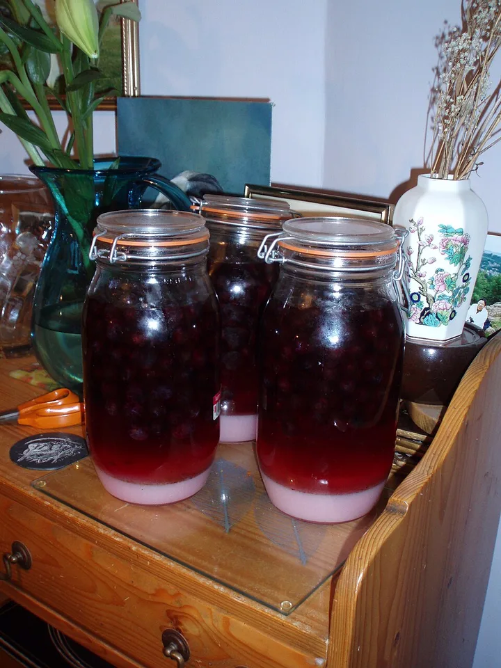 Sloe gin — Photo: Malcolm Murdoch