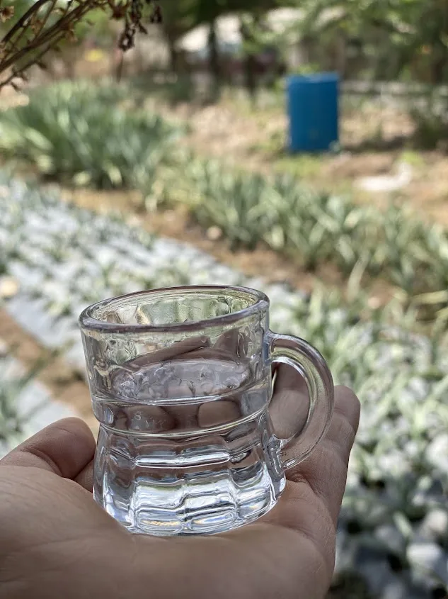 Mezcal artesanal and ancestral — Photo: Fabiola Benitez C