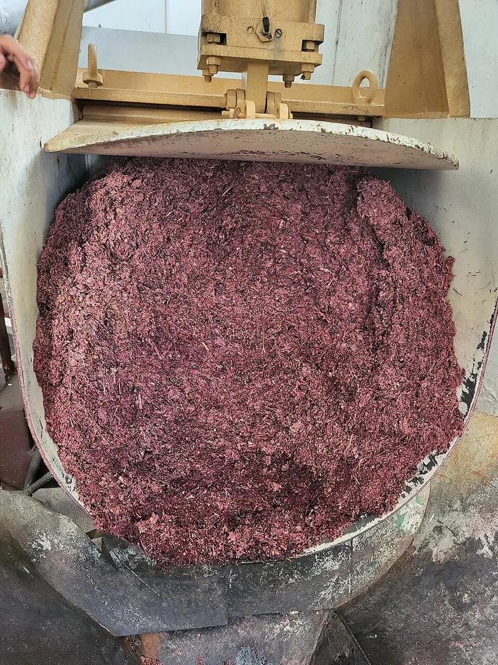 Marc du Languedoc — Photo: Xemenendura