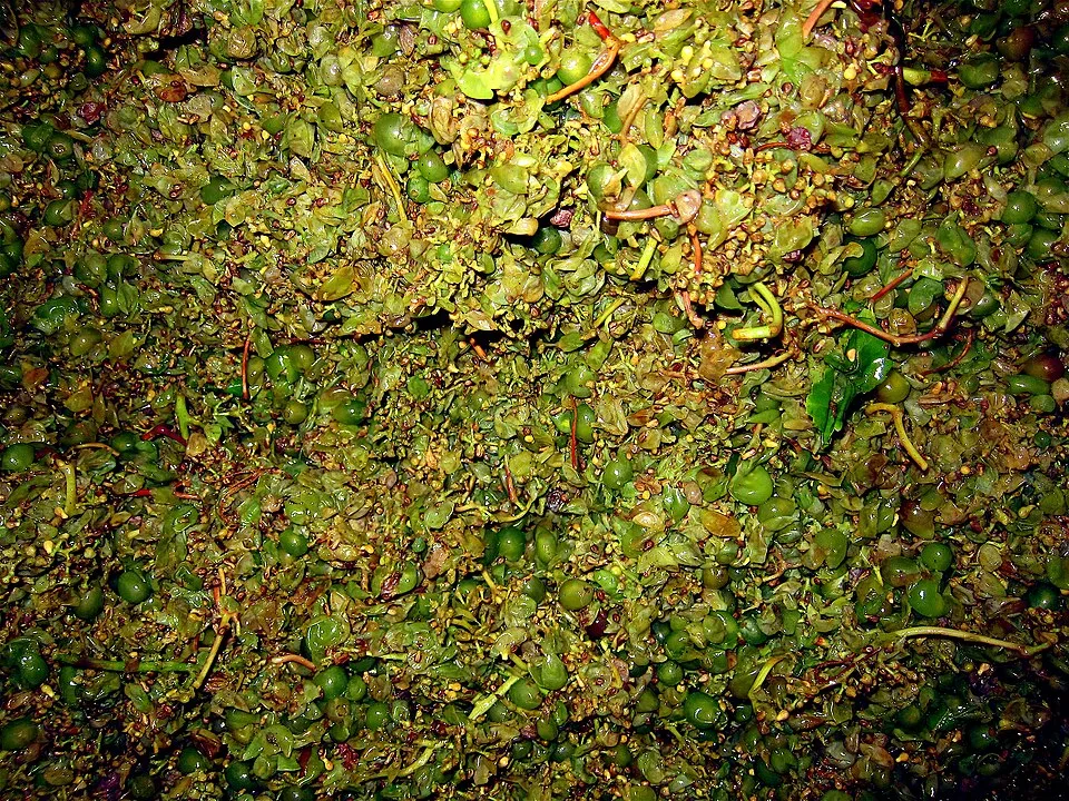 Aguardente Bagaceira da Região dos Vinhos Verdes — Photo: Enrique Dans