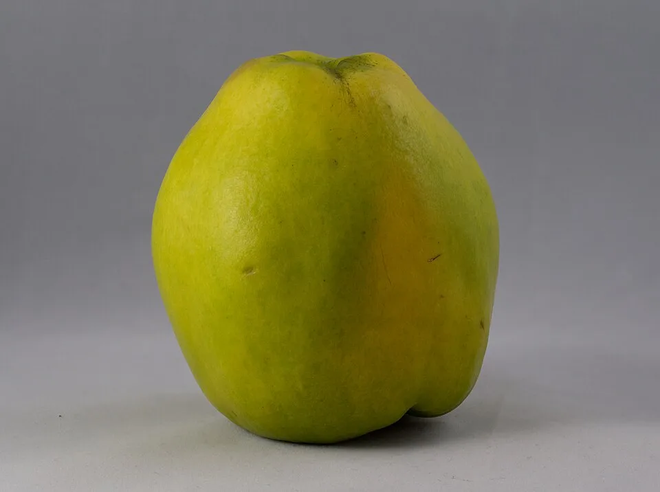 Nagykunság quince pálinka (Nagykunsági birspálinka) — Photo: Rhododendrites
